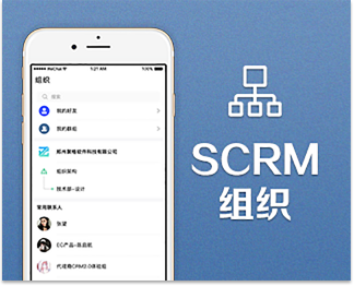 SCRM组织