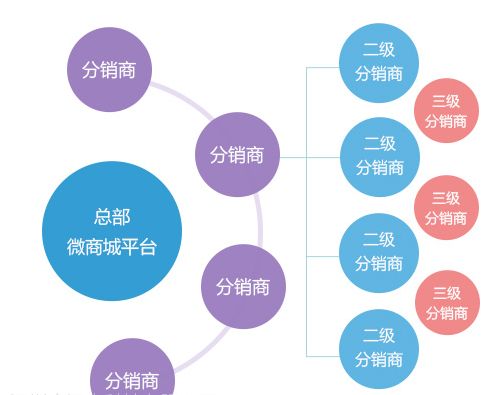 app开发