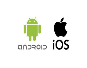 app开发